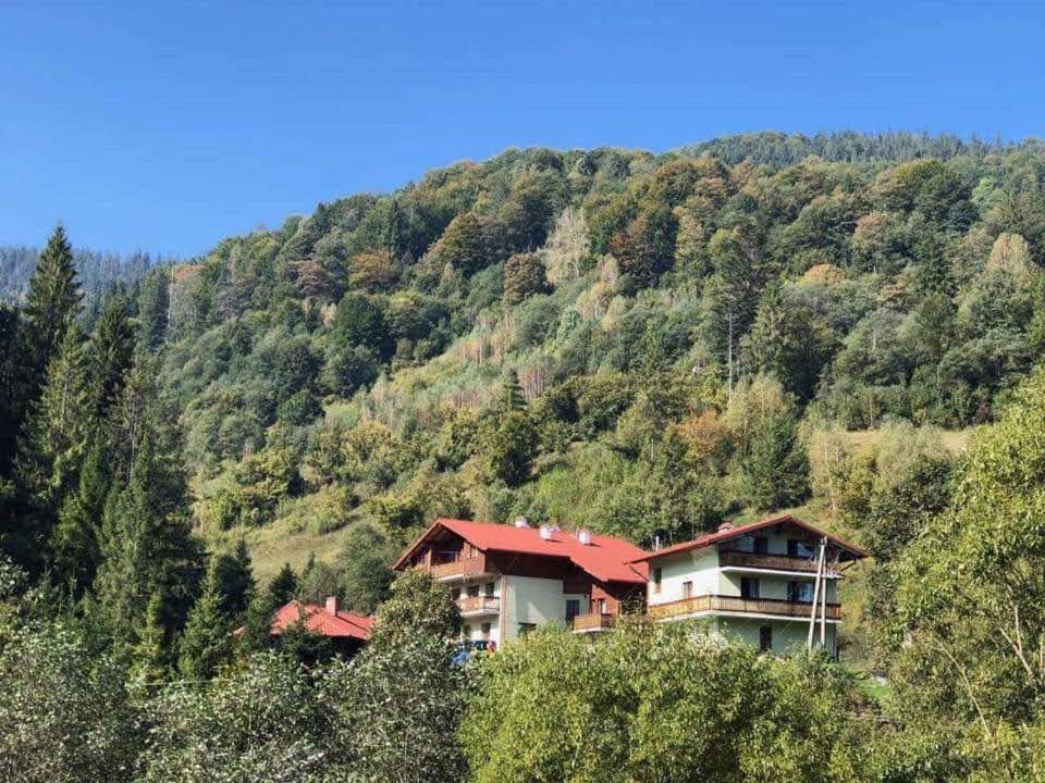 Hotel Лісова Казка à Slavsko Extérieur photo